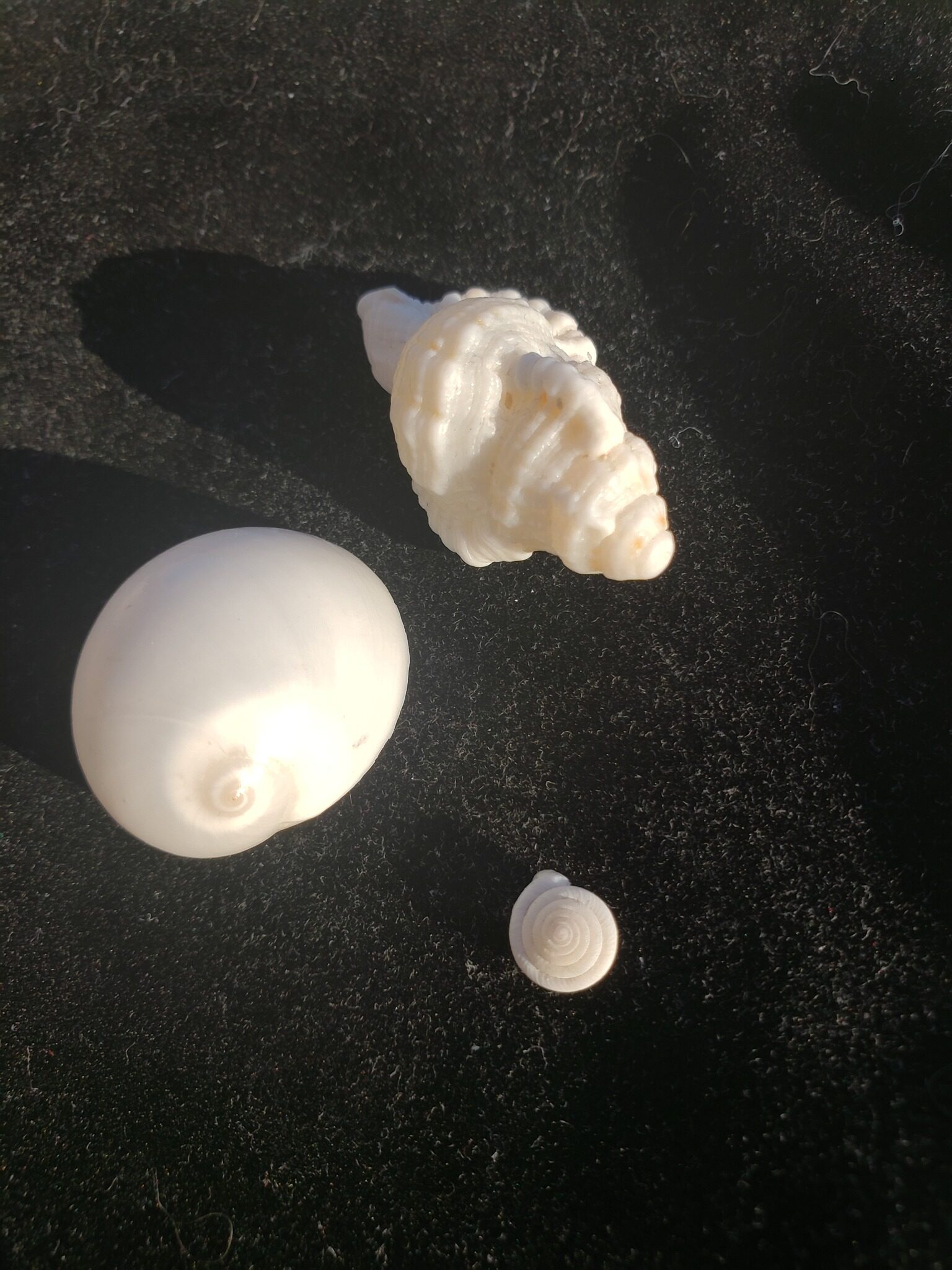 Metaphysical Therapy