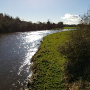 Life Coaching Services: Life Goals and Dream Boards