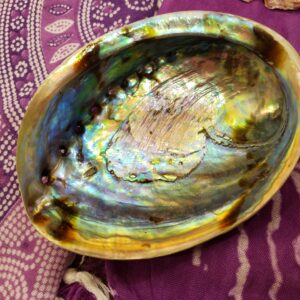 Abilone Shell; Magnifent Seashell Incense Holder or Bowl.